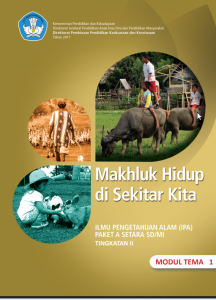 IPA Paket A