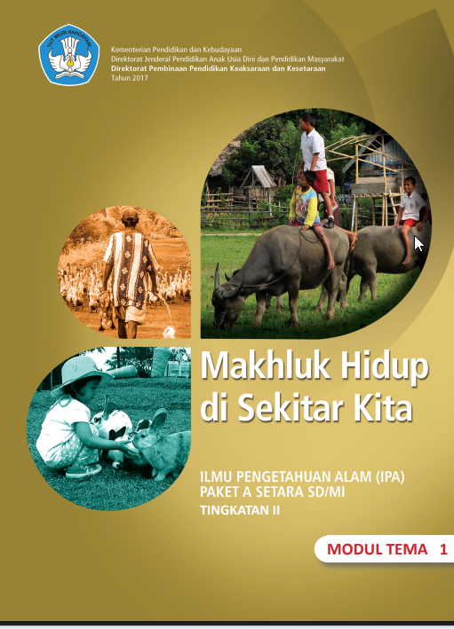 IPA Paket A